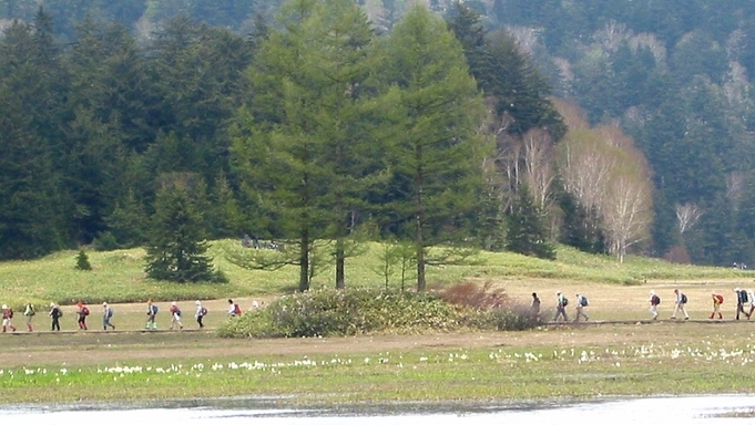 【　尾瀬国立公園への山旅　】　特別天然記念物・尾瀬の玄関口　檜枝岐温泉周遊と花の尾瀬沼散策プラン